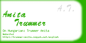 anita trummer business card